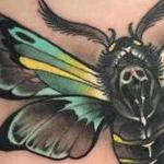 Tattoos - Moth Tattoo - 115864